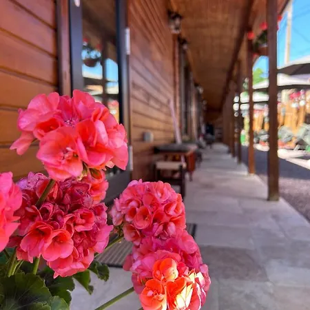 Vendégház Vama 22- Vama Veche