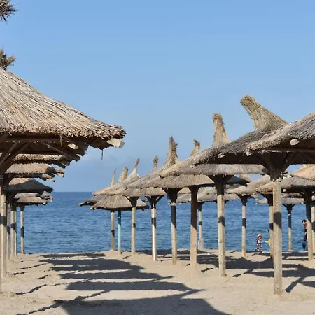 Vama 22-