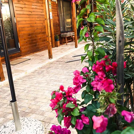 Vama 22- 4* Vama Veche