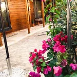 Vama 22- 4* Vama Veche