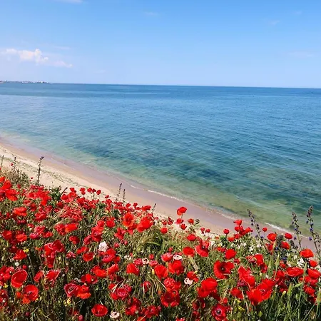 Gasthuis Vama 22- Vama Veche