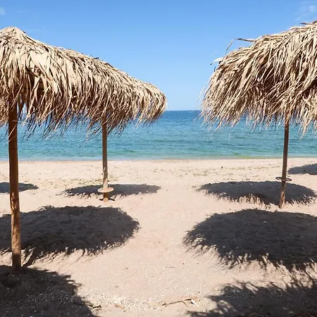 Vama 22- 4*