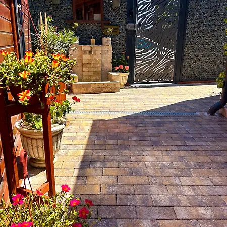 Vama 22- فاما فيكي