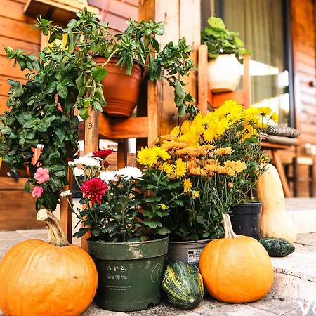 Vama 22- بيت ضيافة