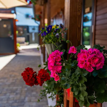 Gasthof Vama 22- Vama Veche